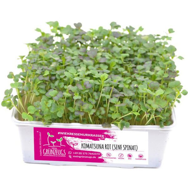 Komatsuna rot (Senf Spinat) Microgreen 🌱 online kaufen & liefern lassen